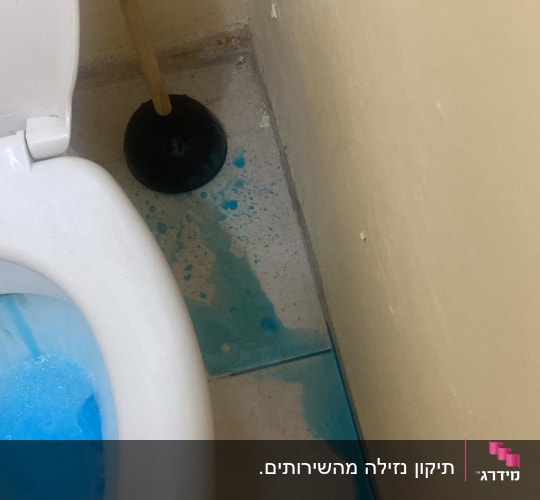 אסלה עם מים כחולים, פומפה על הרצפה